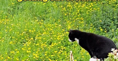 So much spring!