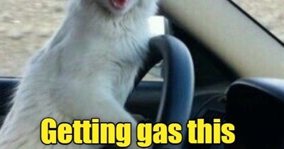 Fuel Economy