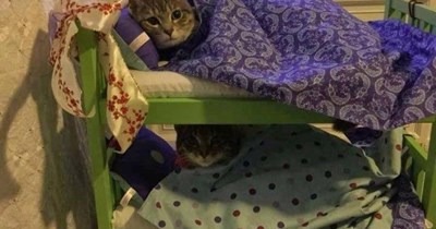 Can I sleep on top?