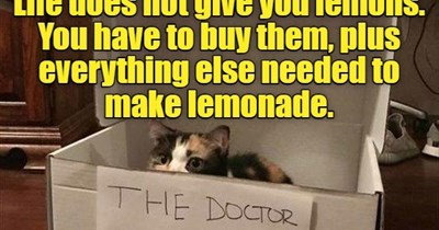 Trying to be cheap again?