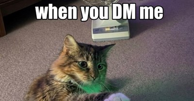 When you DM me