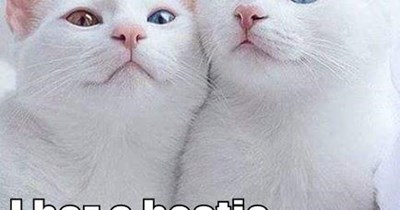 I haz a bestie