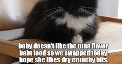 Who doesn't like dry crunchy bits?