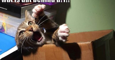 What?? Where??