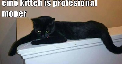 Emo kitteh