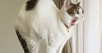 Gasp!