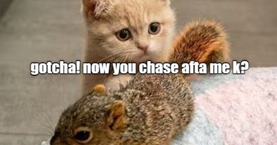 Gotcha!