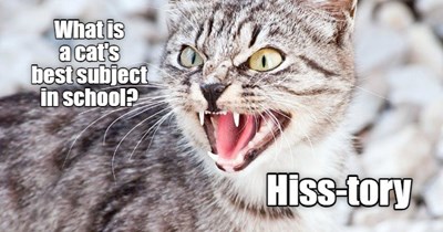 Hissterical fact