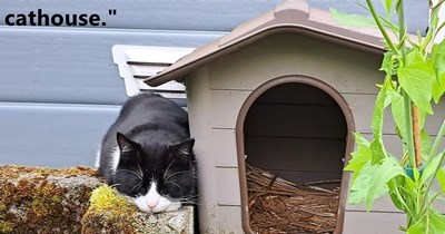 No cathouse here