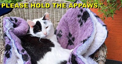 Hold the appaws