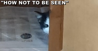 How not to be seen
