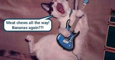 Misheard lyrics: "Rosanna" by Toto