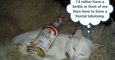 As advised by the good Doctor D