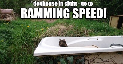 RAMMING SPEED!