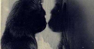 Uncatty