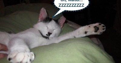 Nap attacks can happen anywhere