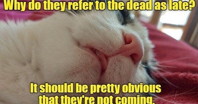 Better late than... oh wait.
