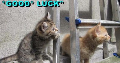 Lucky you