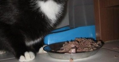A nom shift