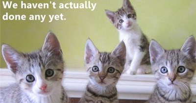We were only plotting mischief!