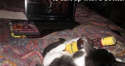 Proof that you don't have to be a wino to curl up with a bottle.