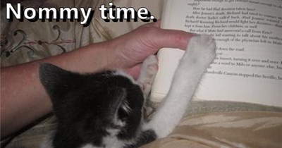 STOP! Nommy time.