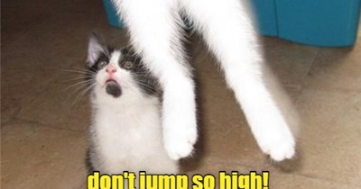 going to see Ceiling Cat