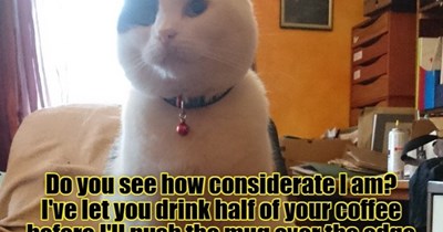 You are too good for this cruel world, kitteh