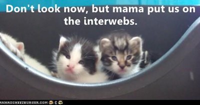 Don't look now, but mama put us on the interwebs.