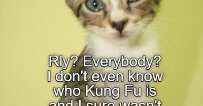 Rly? Everybody?