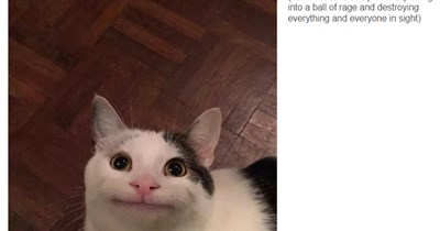 The smile says it all