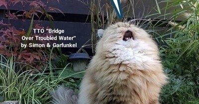 TTO "Bridge Over Troubled Water" by Simon & Garfunkel