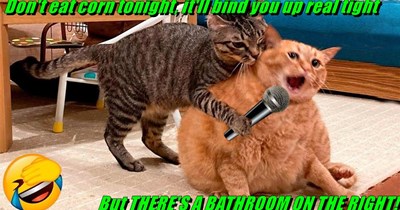 Bathroom's right over there