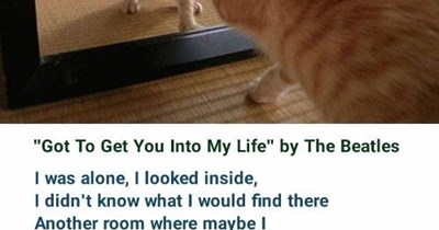 "Got To Get You Into My Life" by The Beatles