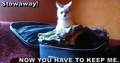 Stowaway!