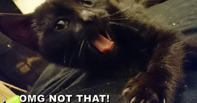 Nooooo