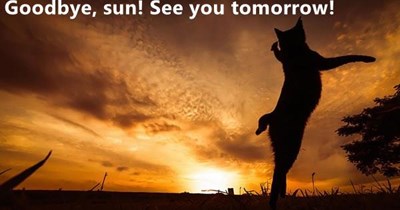Goodbye, sun! See you tomorrow!