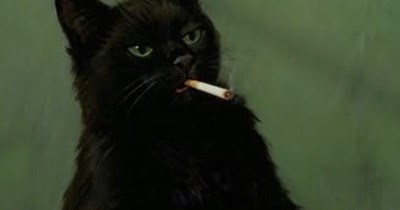 Meowfia don