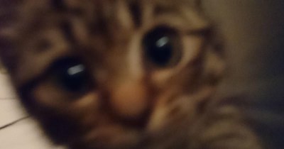 You've gone all blurry!