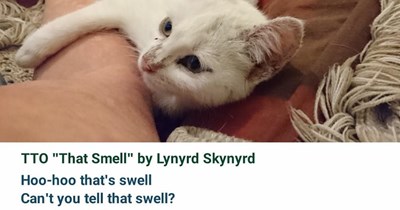 TTO "That Smell" by Lynyrd Skynyrd