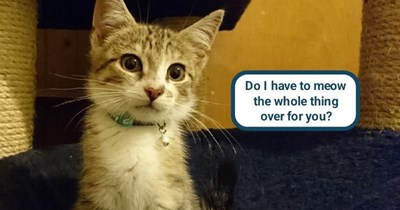 Weren't you listening?