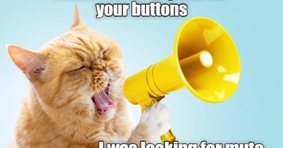 Meowing mute