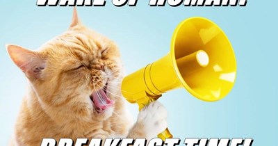 WAKE UP HUMAN!  BREAKFAST TIME!