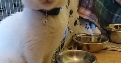 ALEXA  PLAY FRIDAY ON REPEAT, VOLUME AT 11 UNTIL                          MY BOWL IS FILLED
