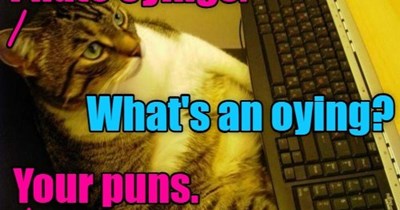 My life while making LOLs