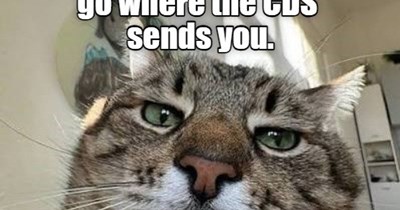 You gotta go where the CDS sends you.