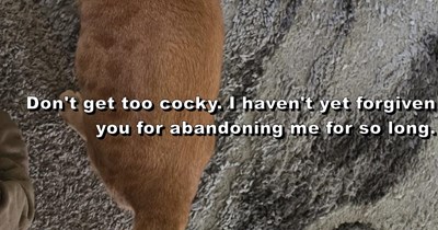 Don't get too cocky.