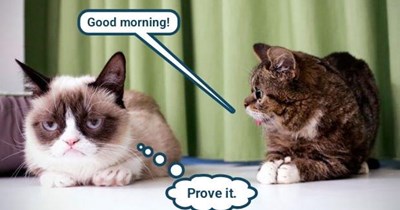 GrumpyCat isn't buying it