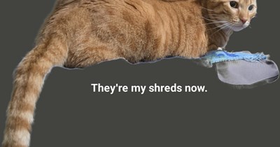 They're my shreds now.