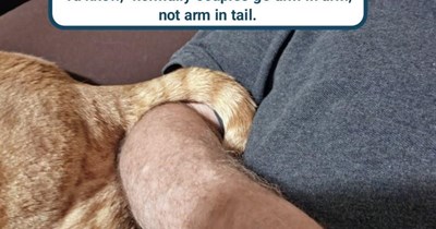 True fluff